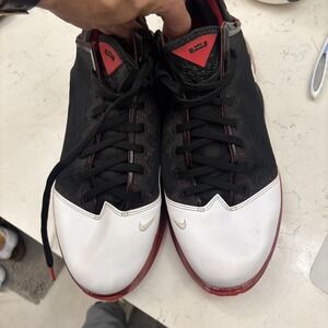 Size 13 - Nike LeBron 19 Low Bred